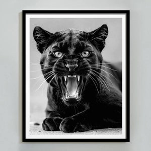 Panther Poster, Luxury Fashion Print, Black and White Wall Art, Vintage Photography, Jaguar Print, Hypebeast Room Decor, Digital Download