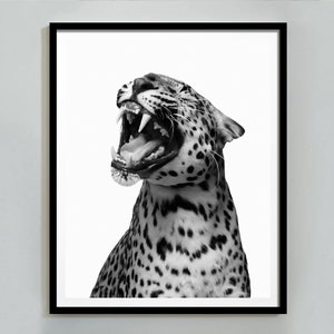 Gepard Poster, Luxusmode Druck, schwarz weiß Wandkunst, Vintage Fotografie, Leopard Muster, Hypebeast Dekor, digitaler Download