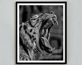 Tiger Roar-tryck: Svartvit fotografi, Hypebeast Decor (digital nedladdning)