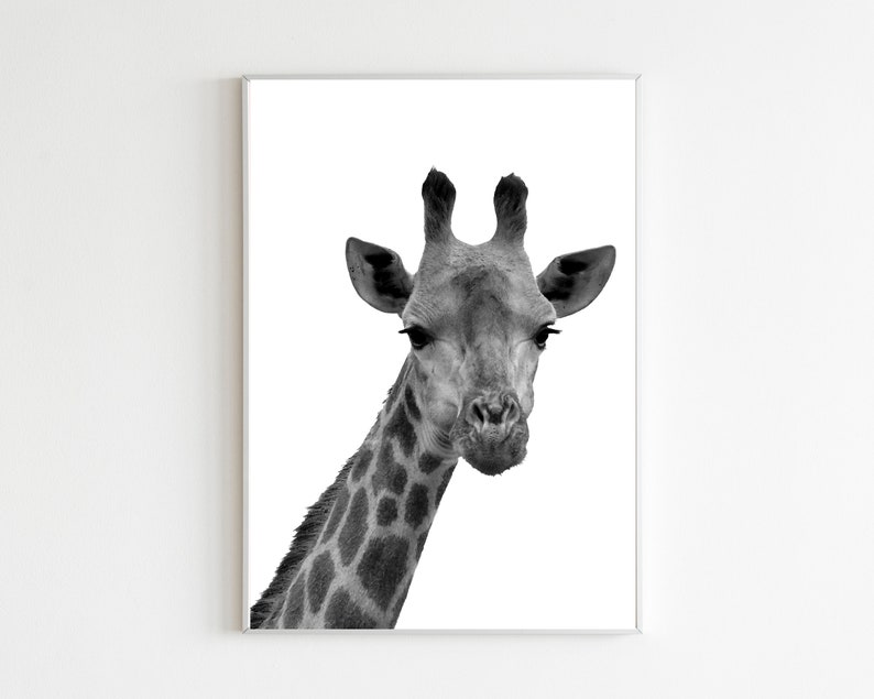 Giraffe Wall Decor Black and White Animal Print Giraffe Etsy