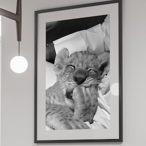 ベッドにいるチーターのプリント、チーターのポスター、白黒、ビンテージ写真、ファッションプリント、ウォールアート、ハイプビーストデコレーション、デジタルダウンロード