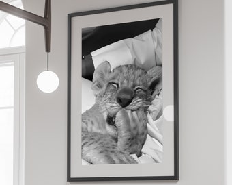 Gepard i sängen-tryck: Svartvit vintagefotografi (digital nedladdning)