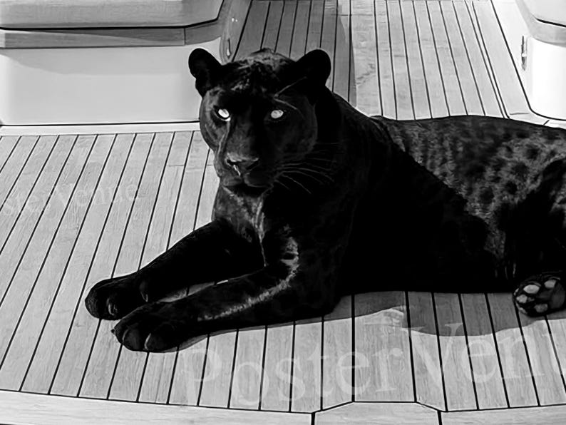 Vintage Panther Yacht Print, Animal Painting AI Print, Nautical Wall Art, Summer Printable, Luxury Yacht  Seascape Summer, Digital Download
