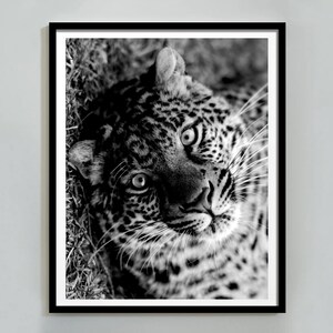 Black and White Fashion Wall Art Print, Trendy Leopard Print, Tiger Poster, Home Decor, Leopard Prints, Printable Wall Art, Digital Download