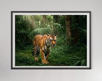 Vintage Photography Tiger Print Poster, Animal Fashion Print, 1950, Trendy Decor, Retro Wall Art, Luxury Tiger Posters Art, Digital Download