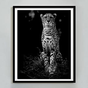 Tiger Minimalist Wall Art Print, Printable Wall Art Poster, Tiger Minimalist Poster Print Art, Home Decor Wall Art Print, Digital Download