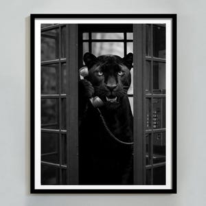 Panther Fashion Style Wall Art Print, Trendy Leopard Photography Print, AI Black and White, Home Decor, Printable Wall Art, Digital Download