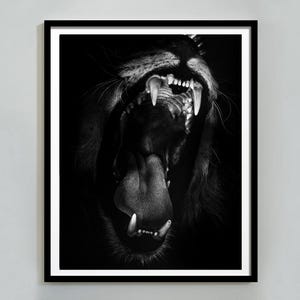 Luxury Roar Cheetah Print, Black and White Roar Wall Art, Vintage Cheetah Fashion Photography, 1950s Printable Leopard,  Digital Download