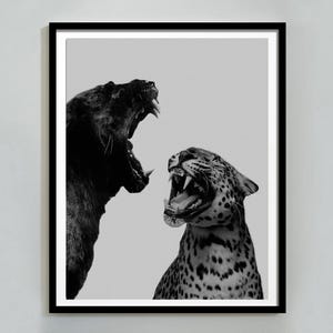 Leopard & Jaguar Roar Print, Cheetah Poster, Black and White, Vintage Photography, Trendy Wall Art, Maximalist Room Decor, Digital Download