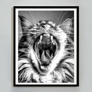 Vintage Cat Print, Cat Print Wall Art, Cat Printable Poster, Animal Ywan Print, Catlover Gift, Antique Cat Print, Digital Download