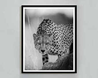 Zwart-wit Cheetah Print, Luxe Fashion Poster, Hypebeast Wall Art, Digitale Download, Cheetah Poster, Y2k Room Decor, Trendy Wall Art