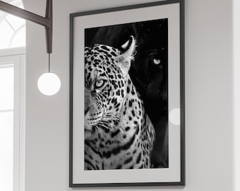 Cheetah and Panther Print, Black and White, Fashion Wall Art, Vintage Photography, Hypebeast Room Decor, Trendy Wall Art, Digital Download