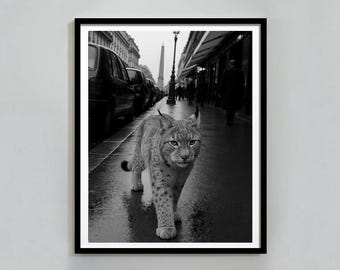 Lynxes Wall Art, Cheetah Inspired Print, Leopard Aesthetic Poster, Glam Jungle Printable Decor, Trendy Preppy Room Style, Digital Download