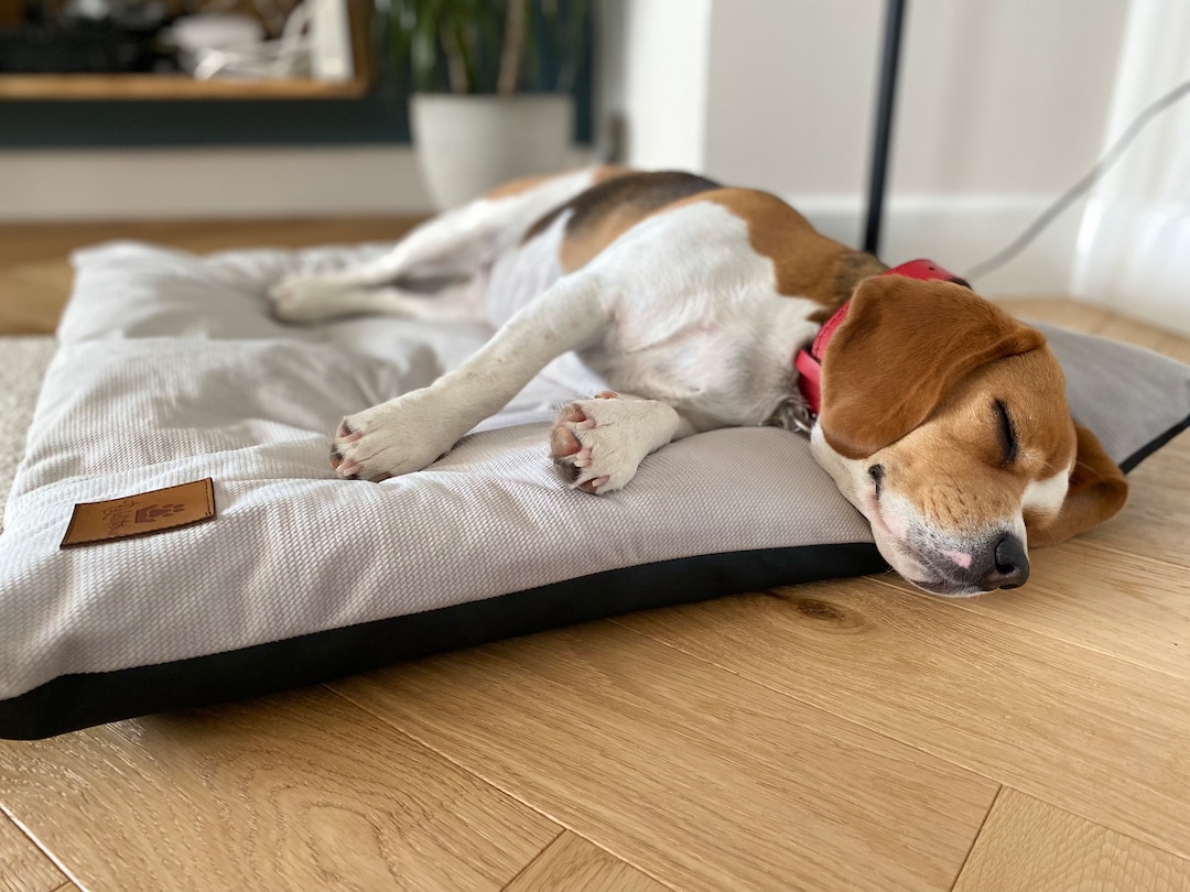 SNUGGY Hundekissen – Wasserabweisend, Leicht Waschbar, Hergestellt In Italien