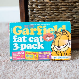 The Sixth Garfield Fat Cat Three Pack Vintage Comic Book by Jim Davis – First Edition: 1996 Ballantine Books