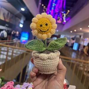 Smiling flower pot