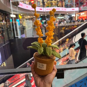 Flower Pot Crochet