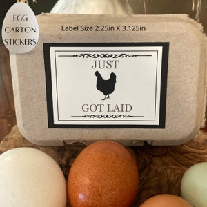 Egg Carton Label, Sticker, Farm Label, Chicken Coop, Hen Stickers, DIY Sticker, Just Got Laid, Farm Fresh, Egg Carton Stickers