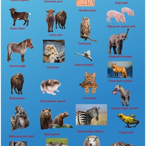 Animaux et leurs sons distinctifs, enseignement à domicile, école maternelle, affiche murale, apprentissage des animaux