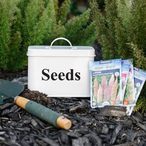 May include: White metal seed storage container with a black label that says "Seeds". The container is sitting on a bed of wood chips. There are several seed packets in the background, including one that says "Lupine Russell's Hybrid Mixed Colors" from Ferry-Morse.