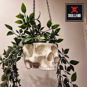 Könnte beinhalten: Ein weißer Schädel-Blumentopf, der an einer schwarzen Kette hängt und mit grünen Blattpflanzen gefüllt ist.