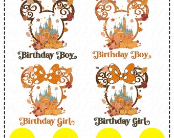Disney Family Birthday SVG, Disney Birthday Girl Shirt Svg, Disney Birthday Boy Png, Disney Birthday Squad, Mickey Minnie, Mickey Kids Party
