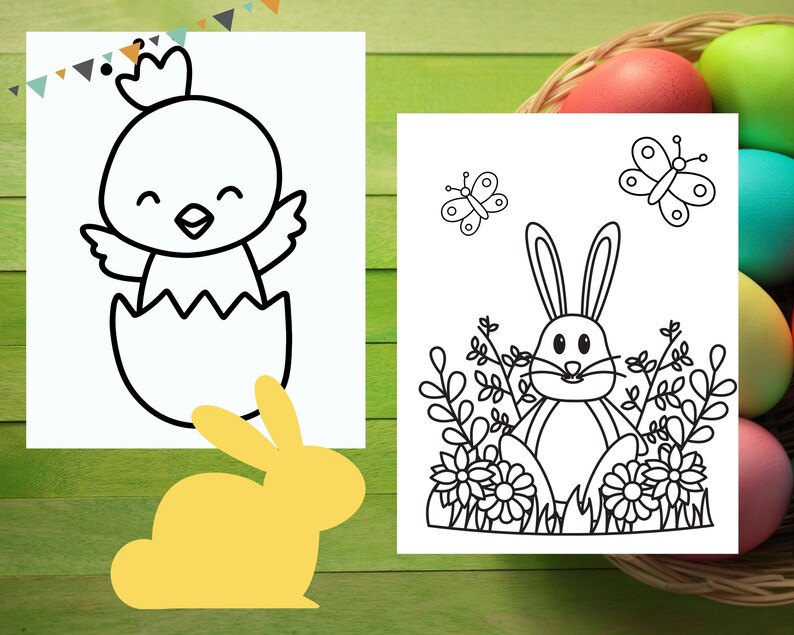 May include: A black and white coloring page featuring a chick hatching from an egg, a bunny rabbit sitting in a field of flowers, and two butterflies.