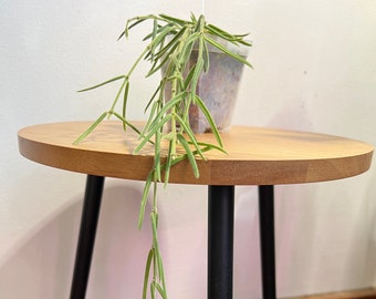 Hoya Linearis #1, Lightly Rooted, Live Rare Houseplant