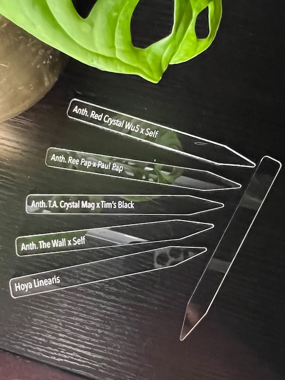 Plant Tag Clear Personalized, Rare Plant Stake, Custom Engraved Houseplant ID Marker, Premium Acrylic  Label, Hoya, Philodendron, Monstera