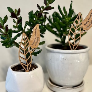 May include: Two wooden plant markers with leaf designs. The marker on the left says "Kimberly & Christopher 12.23.2023". The marker on the right says "Baby Frances 05.13.2022".