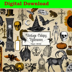May include: Vintage Halloween clipart set featuring a variety of spooky images, including bats, spiders, skulls, a crow, a snake, a goat, a skeleton, a witch's hat, a clock, a pumpkin, and more. The images are in black and white and have a vintage feel.