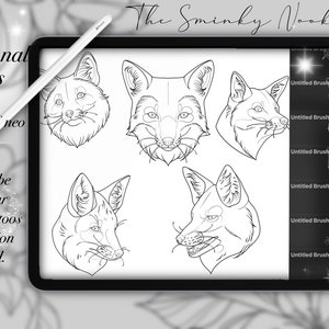 Procreate Neo Traditional fox brushes, stamps, tattoo design, digital brush