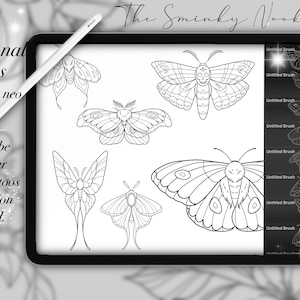 Procreate Neo Traditional Moth brush, stamps for Procreate, tattoos