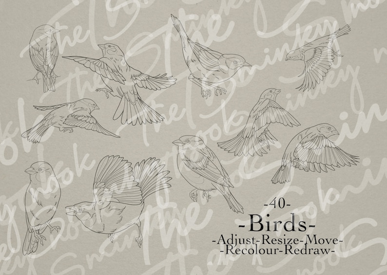 Procréer des oiseaux néo traditionnels, des tampons et des pinceaux de tatouage doiseaux image 4