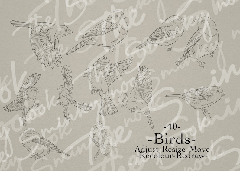 Procréer des oiseaux néo traditionnels, des tampons et des pinceaux de tatouage doiseaux image 3