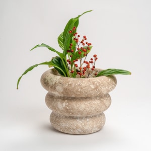 Puede incluir: Un macetero redondo de cerámica beige texturizado con un borde ondulado. El macetero está lleno de hojas verdes y bayas rojas.