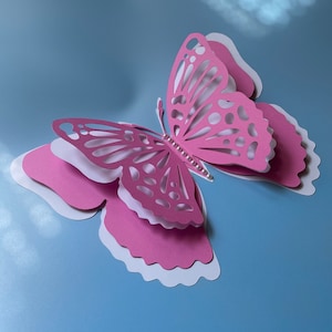Duży papierowy motyl, cztery warstwy kartonu z perłowym detalem na tułowiu