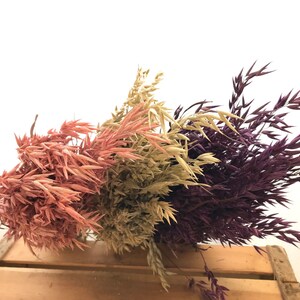 Könnte beinhalten: Ein Bund getrockneter Hafergras in rosa, beige und lila Farben. Das getrocknete Gras ist in einer Holzkiste angeordnet.