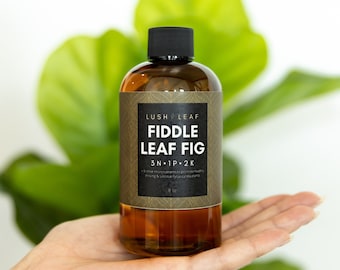 Fiddle Leaf Fig Fertilizer - Etsy