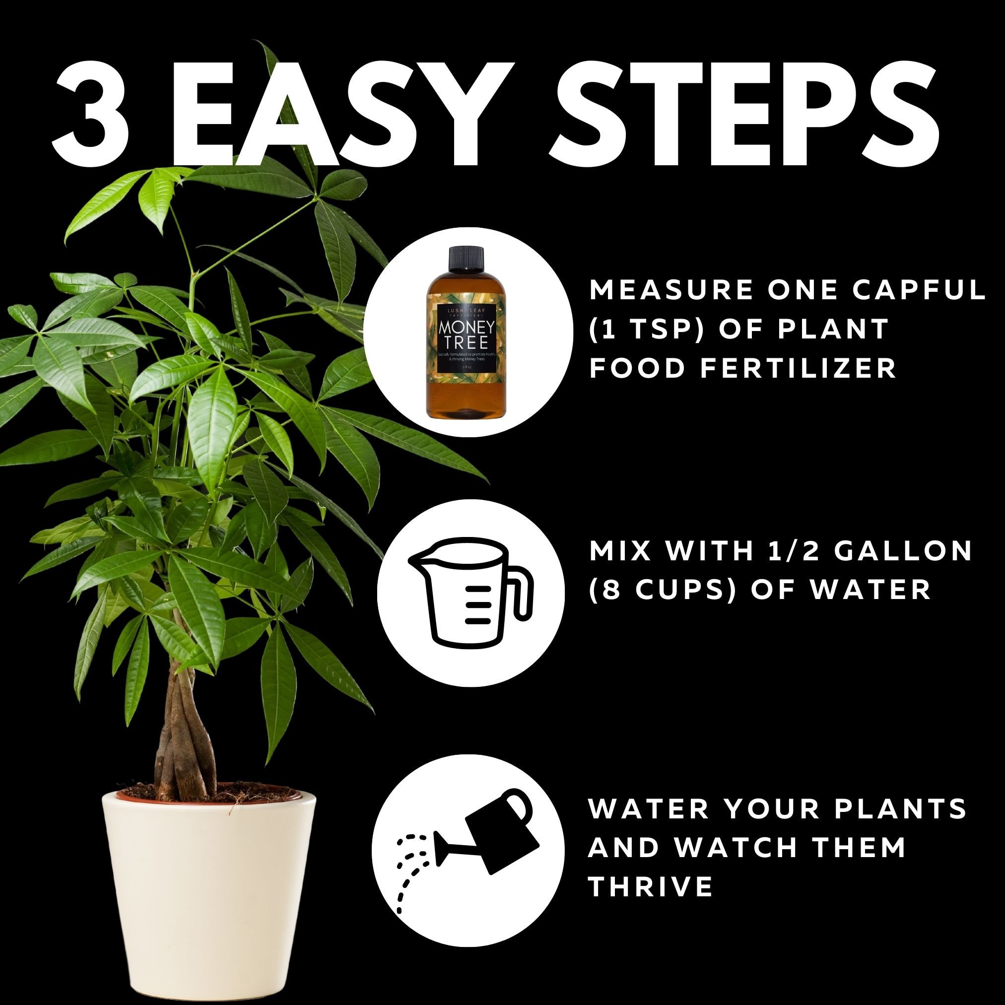 Money Tree Plant Food Liquid Concentrate Fertilizer for Healthy, Thriving Money  Trees - Etsy
