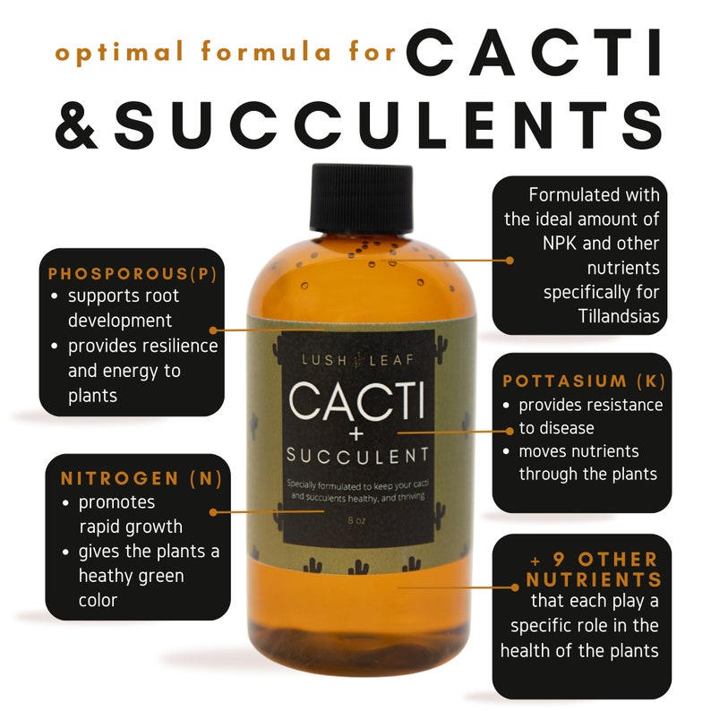 Cacti and Succulent Plant Food and Fertilizer Concentrate for All