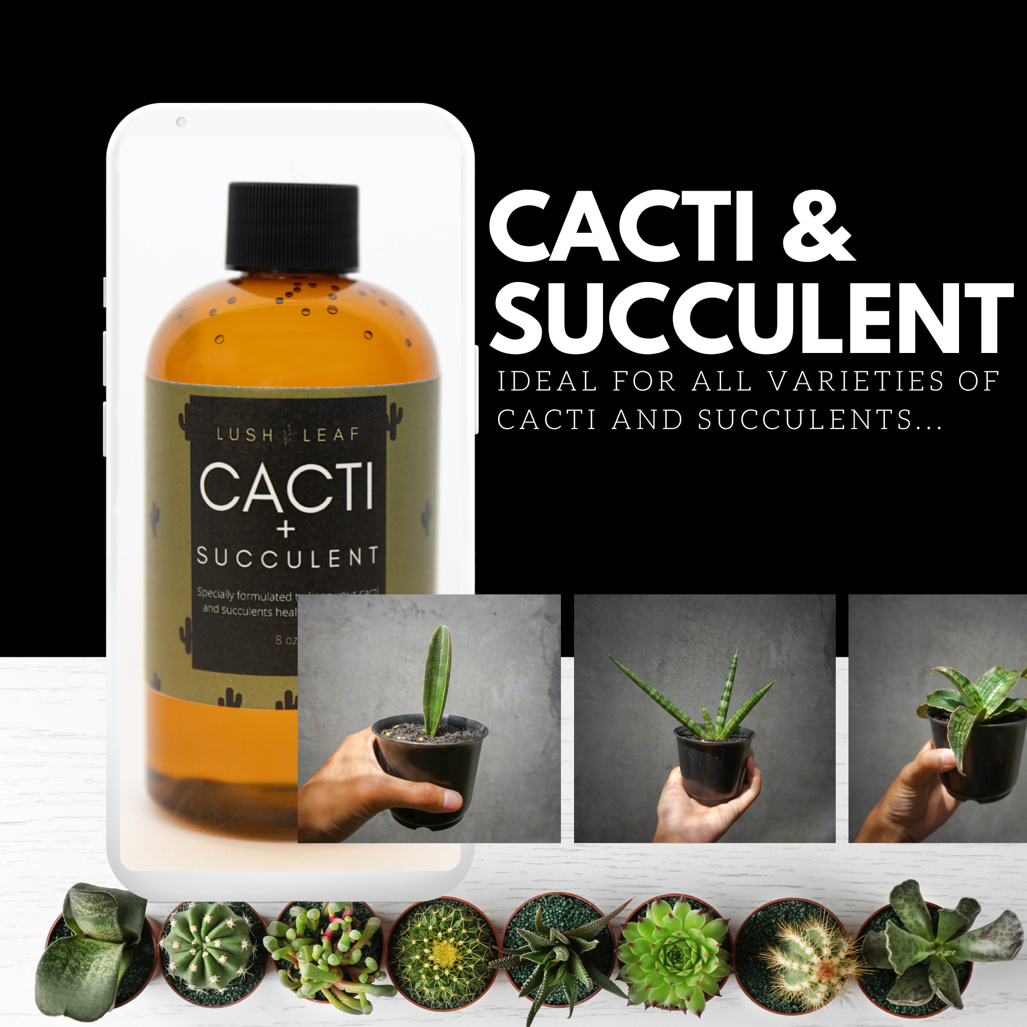 Cacti and Succulent Plant Food and Fertilizer Concentrate for All ...