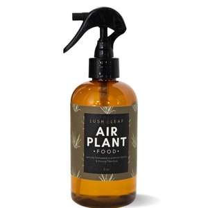 Air Plant Fertilizer gentle formula spray plant food for healthy tillandsias boron and copper free