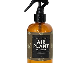 Air Plant Fertilizer gentle formula spray plant food for healthy tillandsias boron and copper free