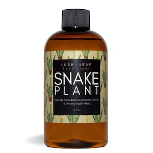 Snake Plant Fertilizer Liquid Concentrate Plant Food for Healthy and Thriving Dracaenas