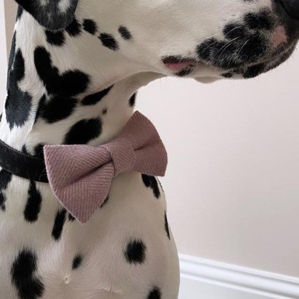 Herringbone Tweed Dog Bow Tie - Pink
