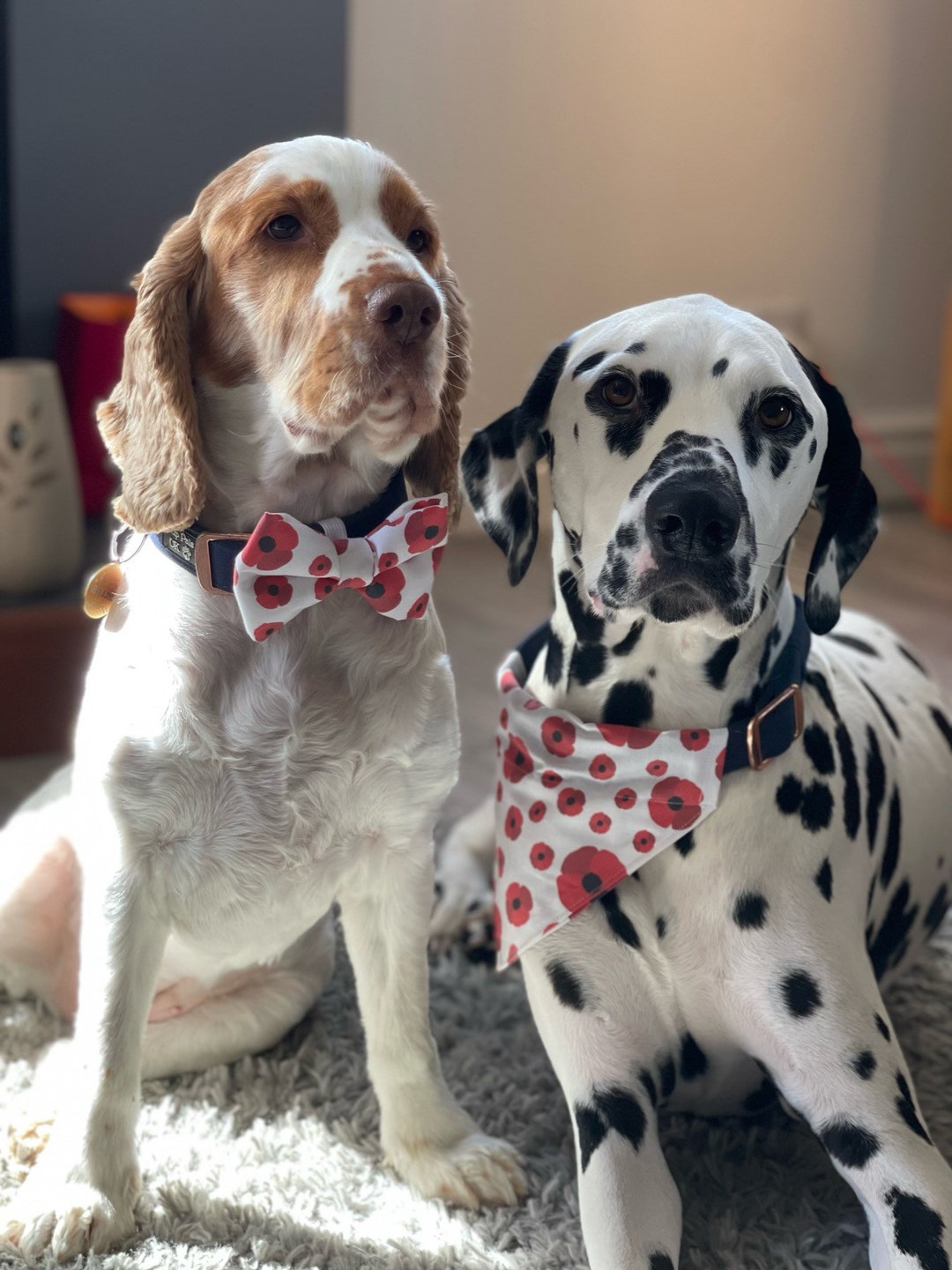 Remembrance Day Poppy Dog Bow Tie and Bandana Set Etsy UK