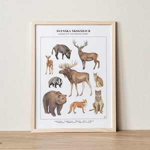 Schwedisches Poster Waldtiere "Svenska Skogsdjur" | Kunstdruck 30x40 cm | Wanddekoration