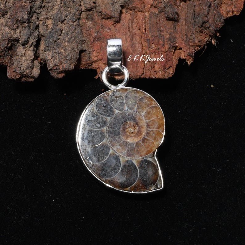 Puede incluir: Un colgante de plata con un f&oacute;sil de ammonite en espiral de tonos marrones y grises. El colgante tiene una reasa de plata pulida en la parte superior y el texto EKKJewels est&aacute; impreso en blanco cerca del borde superior de la concha f&oacute;sil.