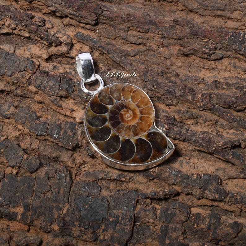 Puede incluir: Un colgante que presenta un f&oacute;sil de amonita pulido con un patr&oacute;n en espiral en tonos marrones y negros, engastado en un marco de metal plateado con una anilla circular en la parte superior. El texto EKKJewels est&aacute; impreso en blanco sobre el f&oacute;sil.